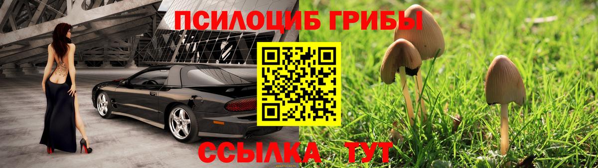 Домодедово  Галлюциногенные грибы Psilocybe  Вход с VPN 